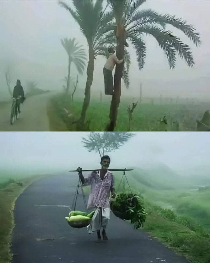 ফের বাড়ছে পারদ, শীতের আমেজে ব্রেক – কী বলছে হাওয়া অফিস