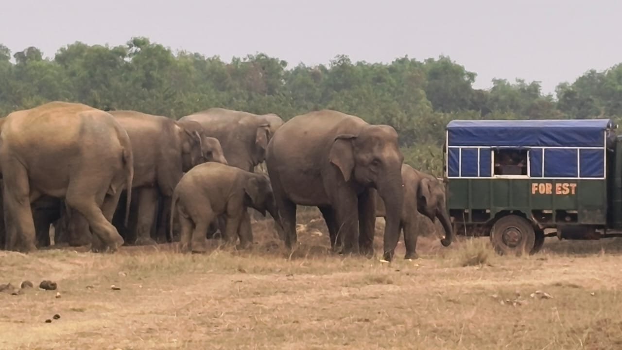  শতদিনের ভ্রমণ শেষ করে এবার বাড়ি ফেরার পথে  দলমার দামালের দল