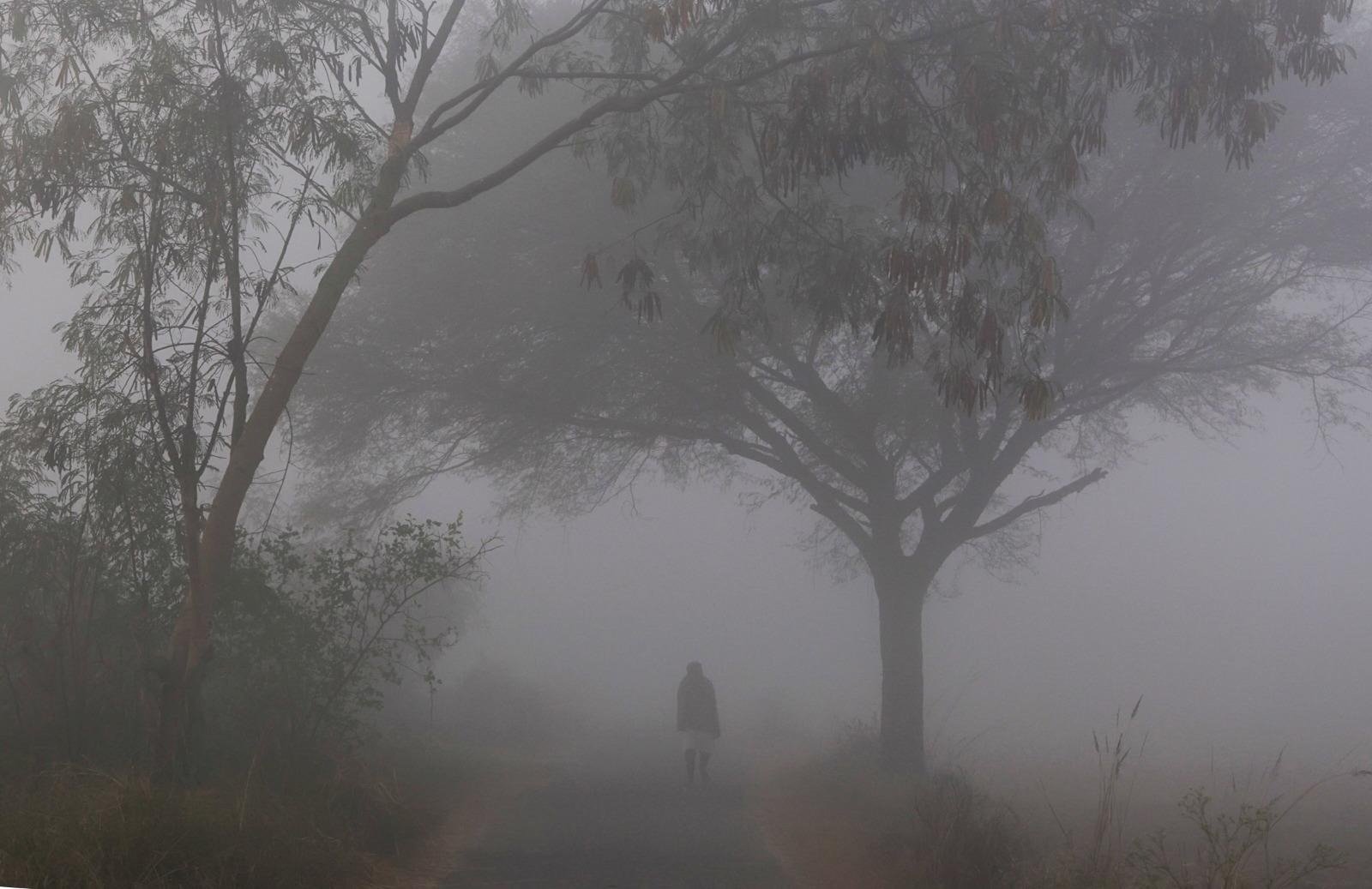 ঠান্ডায় কাপছে শ্রীনিকেতন, দক্ষিণবঙ্গে বড়দিনে নামবে আরও পারদ! কী বলছে আলিপুর আবহাওয়া দফতর