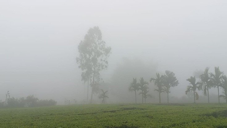 শীতের ঝোড়ো ইনিংস চলছেই! বর্ষবরণে কাঁপুনি, ১ জানুয়ারি থেকে বদলাবে কি আবহাওয়া?