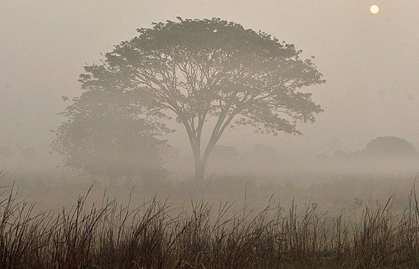 পশ্চিমী ঝঞ্ঝায় বদলাচ্ছে আবহাওয়া, উইকেন্ডে কমবে ঠান্ডা—তবে ফিরছে শীতের সুখবর
